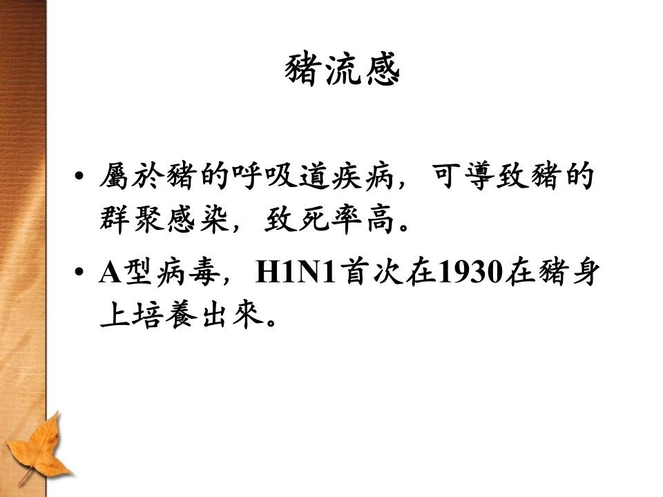 卫生署H1N1新型流感ppt模板课件