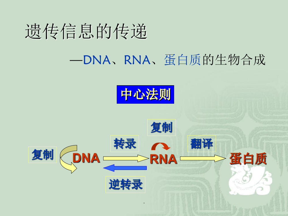 DNA复制、转录、翻译