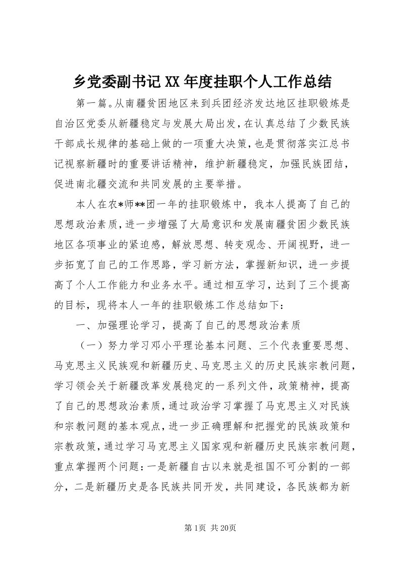 6乡党委副书记某年度挂职个人工作总结