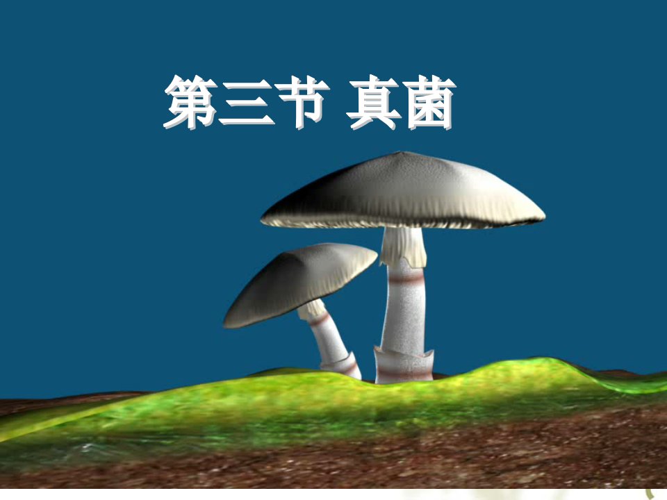 八年级生物《真菌》课件公开课获奖课件百校联赛一等奖课件