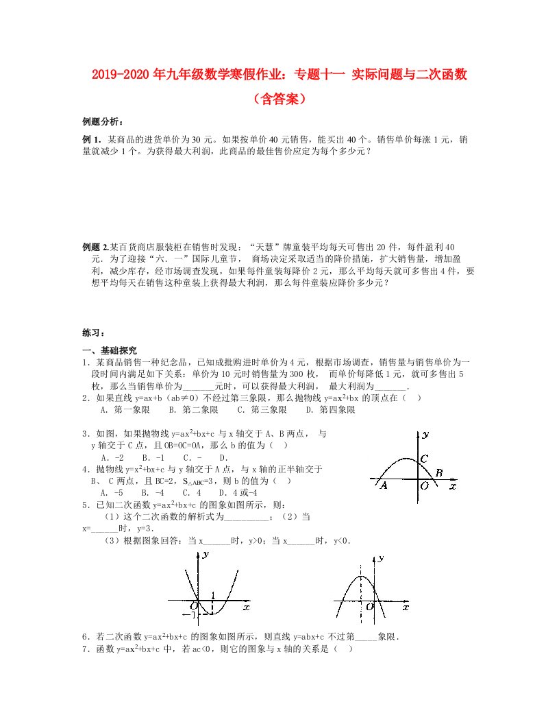 2019-2020年九年级数学寒假作业：专题十一