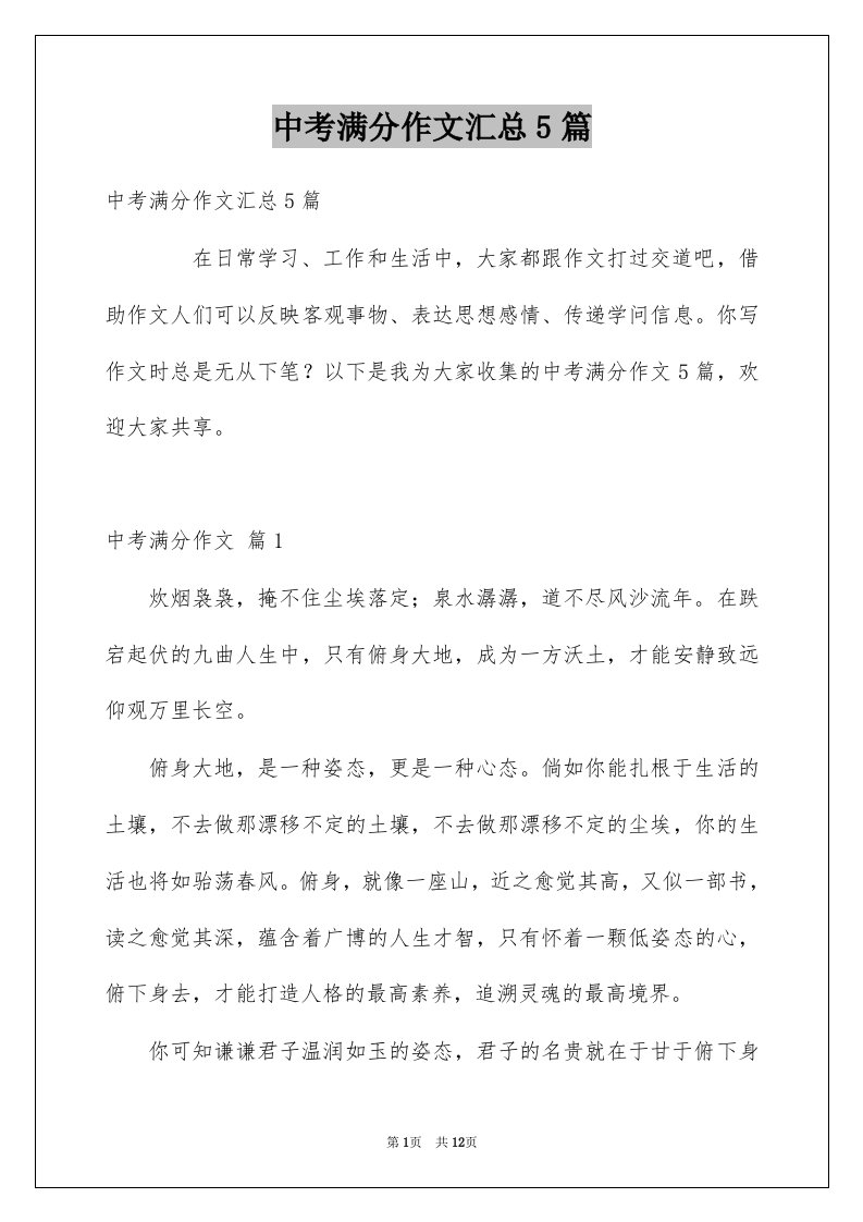 中考满分作文汇总5篇例文