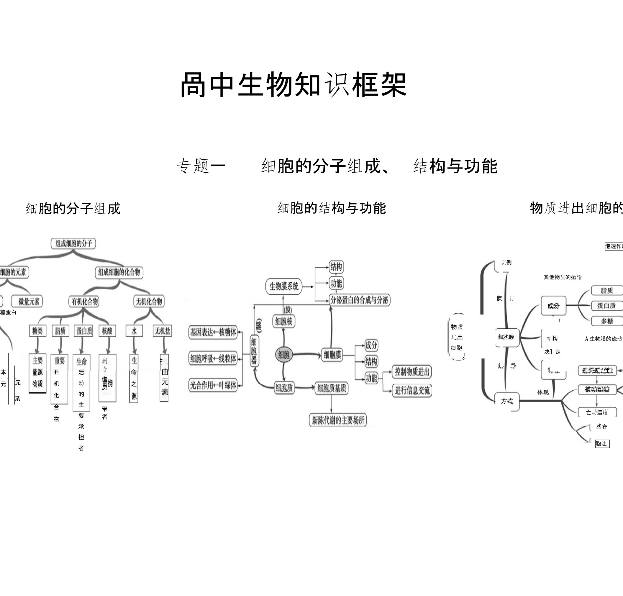 高中生物知识框架