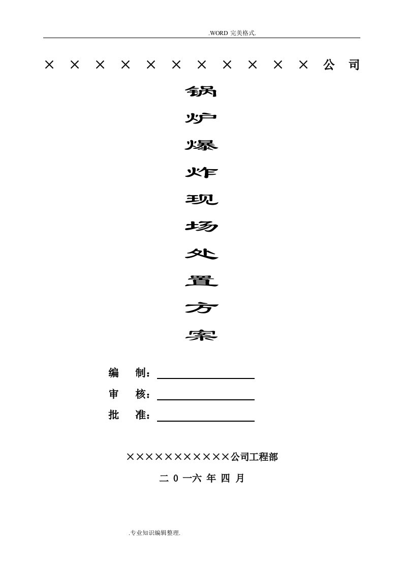 07锅炉爆炸事故现场处置方案说明