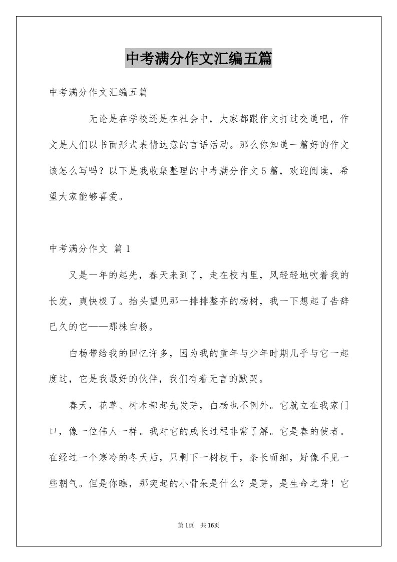 中考满分作文汇编五篇例文