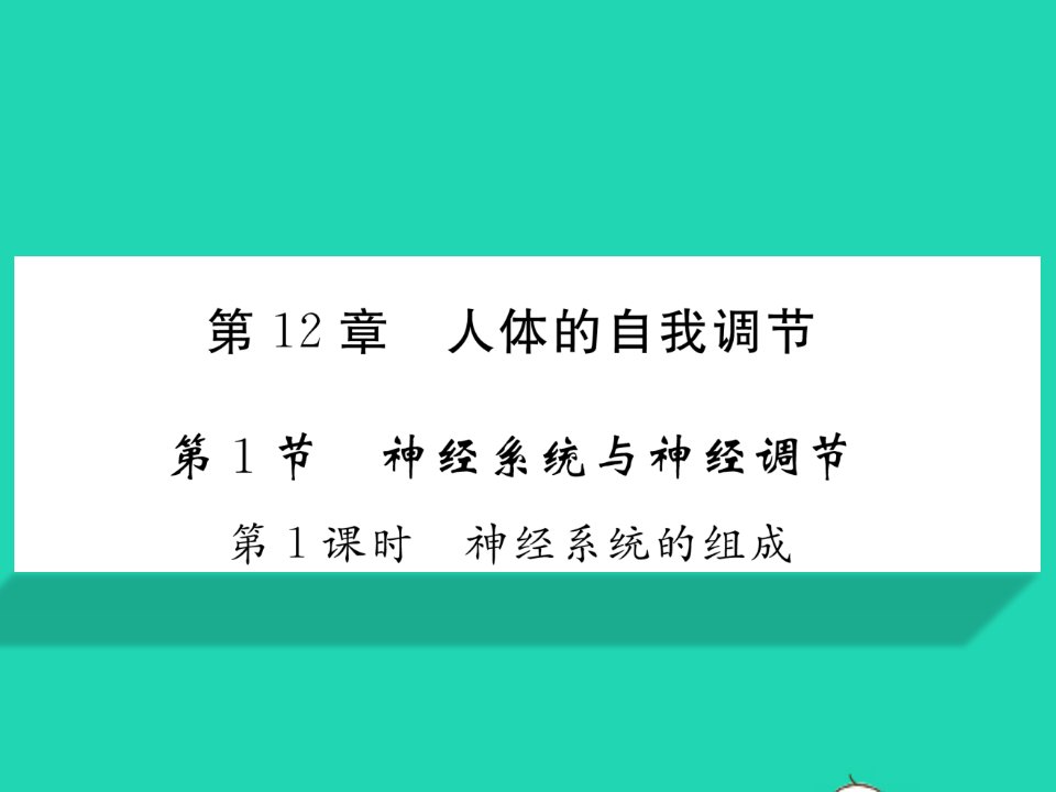 2022七年级生物下册第12章人体的自我调节第1节神经系统与神经调节第1课时神经系统的组成习题课件新版北师大版