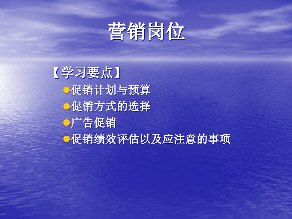 [精选]营销岗位促销计划与绩效评估