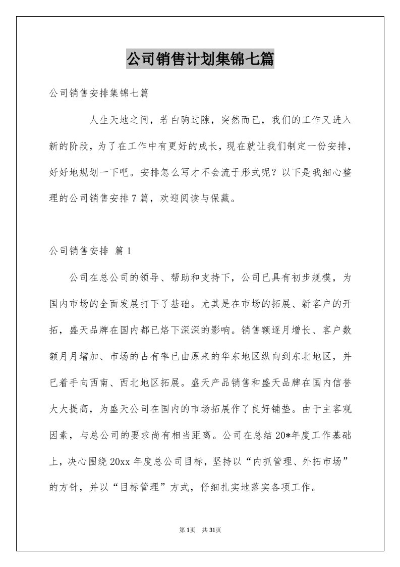 公司销售计划集锦七篇精选