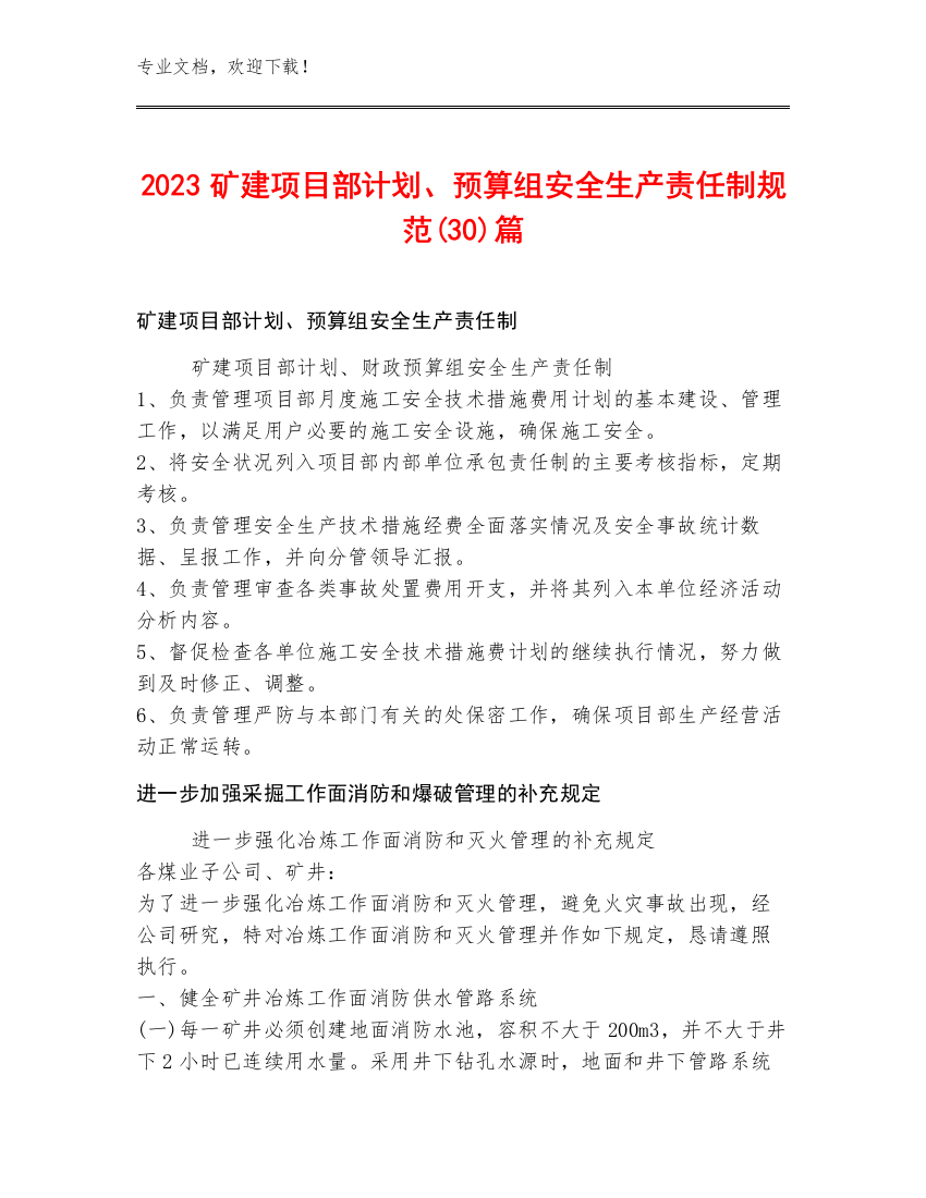 2023矿建项目部计划、预算组安全生产责任制规范(30)篇