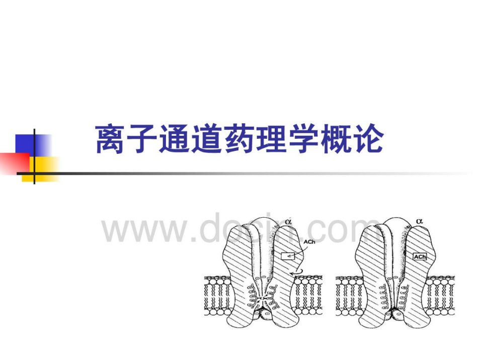 哈尔滨医科大药学医学药理学课件-离子通道药理学概论