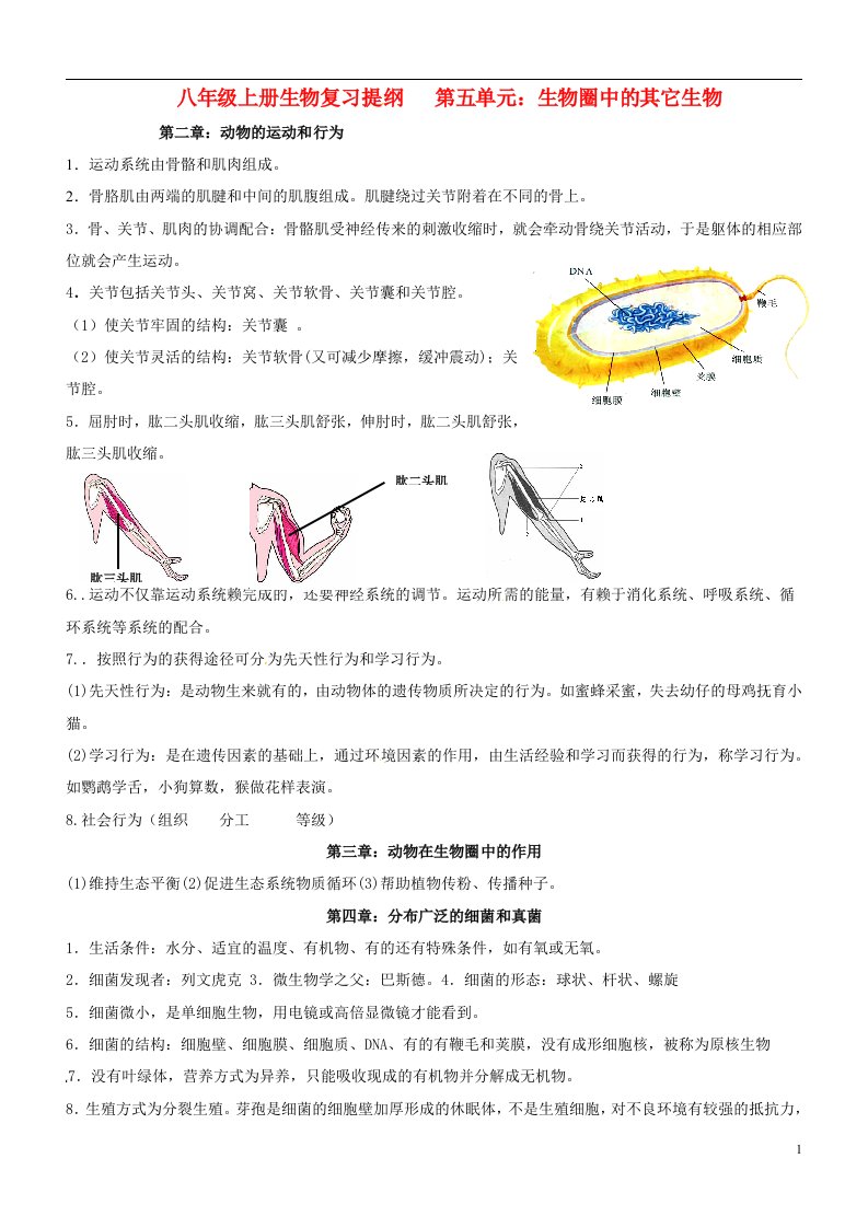 内蒙古鄂尔多斯市达拉特旗第十一中学八年级生物上册