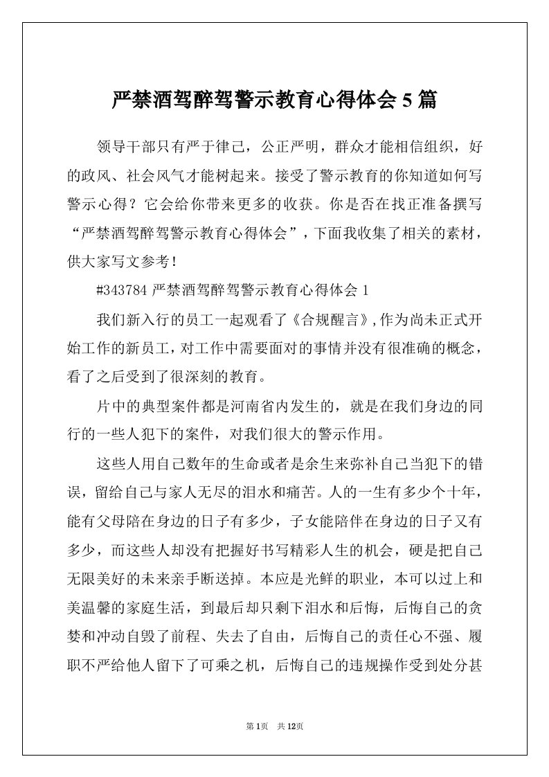 严禁酒驾醉驾警示教育心得体会5篇