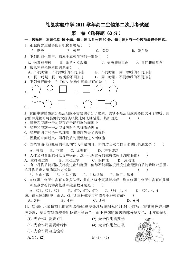 人教版试题试卷礼县实验中学2011学年高二生物第二次月考试题