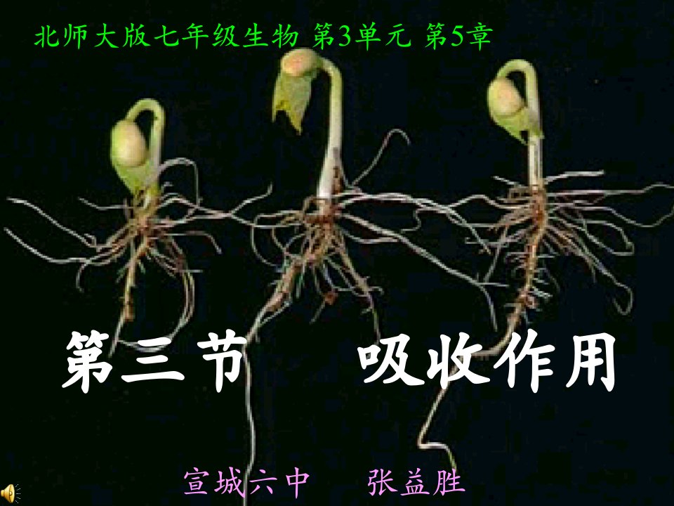 七年级生物吸收作用