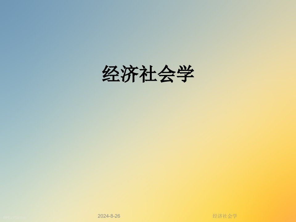 经济社会学课件