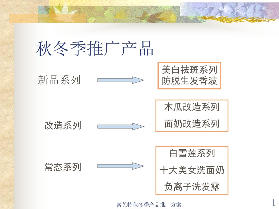 某化妆品营销策划ppt可编辑修改课件