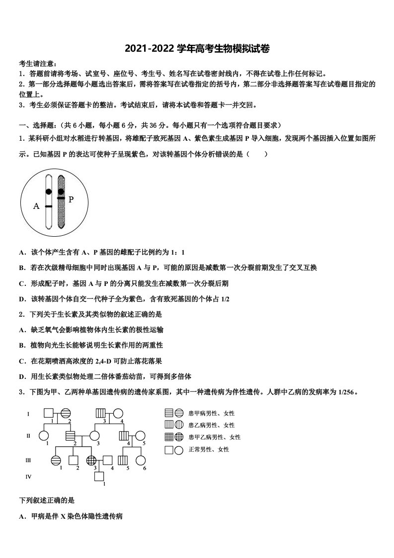 湖南省石门县第一中学2021-2022学年高三二诊模拟考试生物试卷含解析