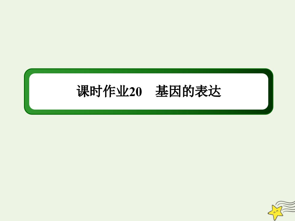 山东专用高考生物一轮复习第六单元遗传的物质基础第20讲基因的表达课时作业课件