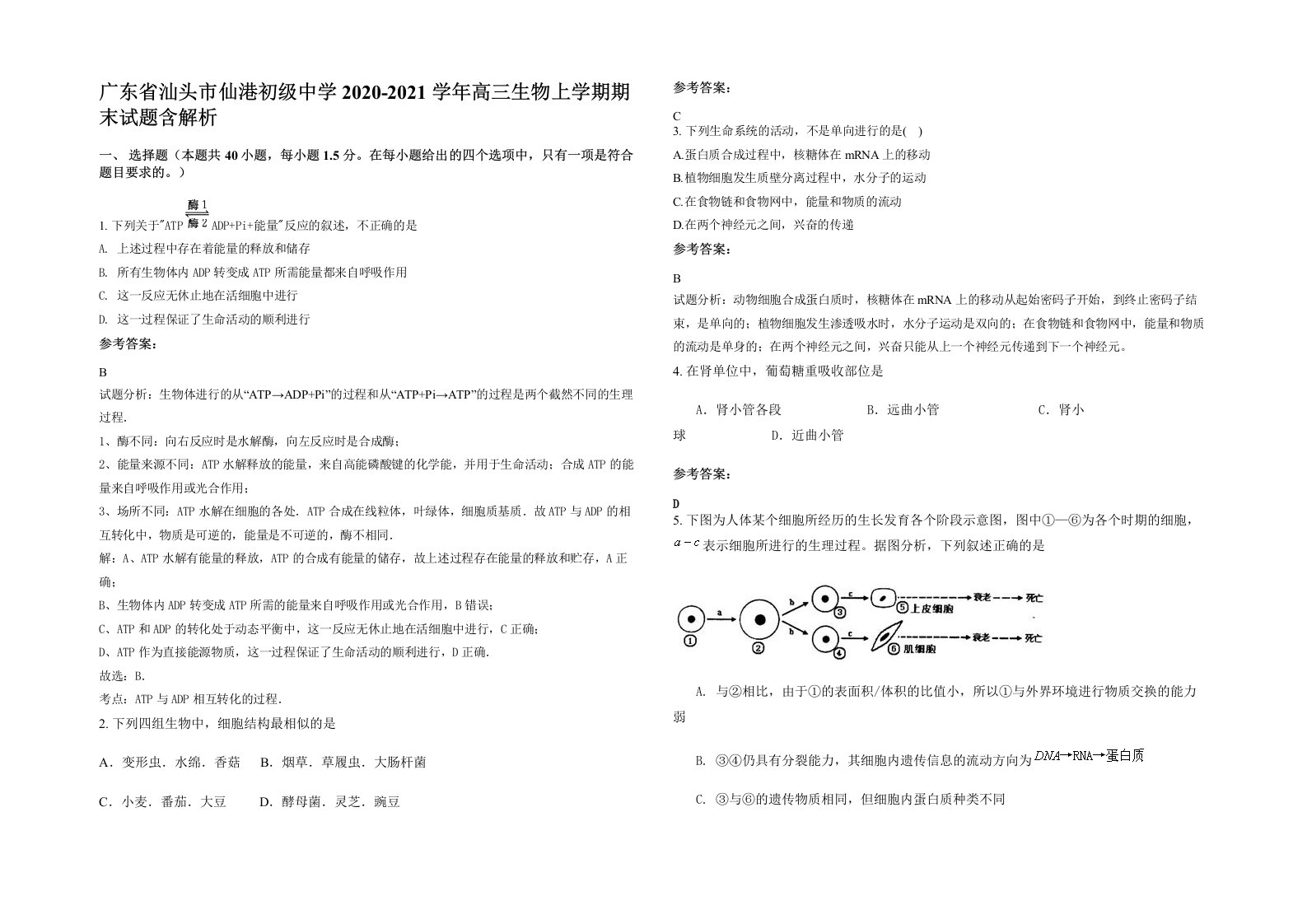 广东省汕头市仙港初级中学2020-2021学年高三生物上学期期末试题含解析