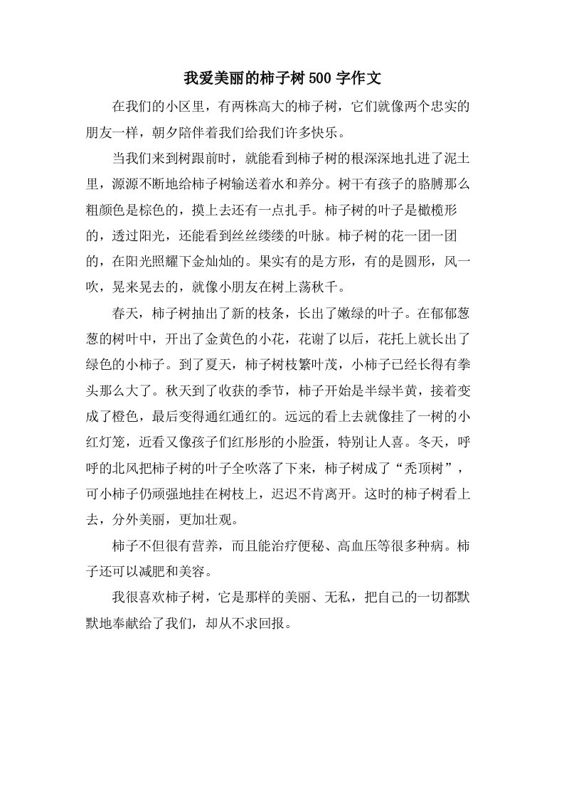 我爱美丽的柿子树500字作文