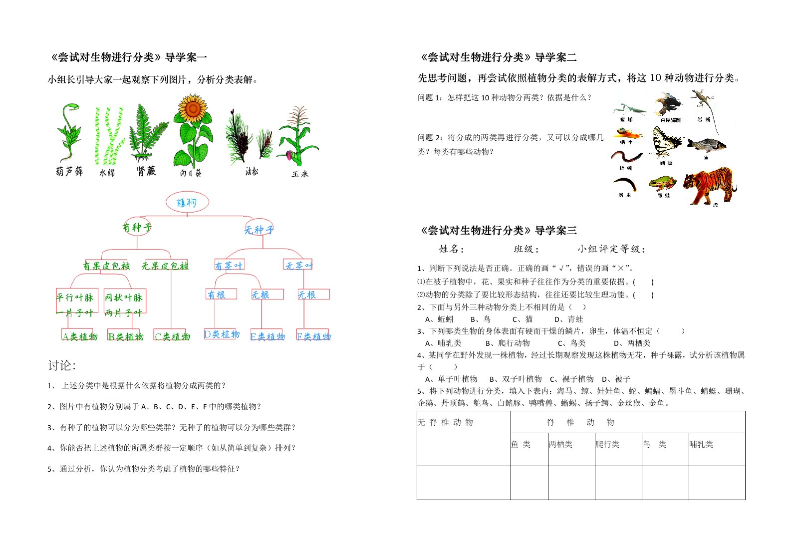 生物人教版八年级上册尝试对生物进行分类导学案