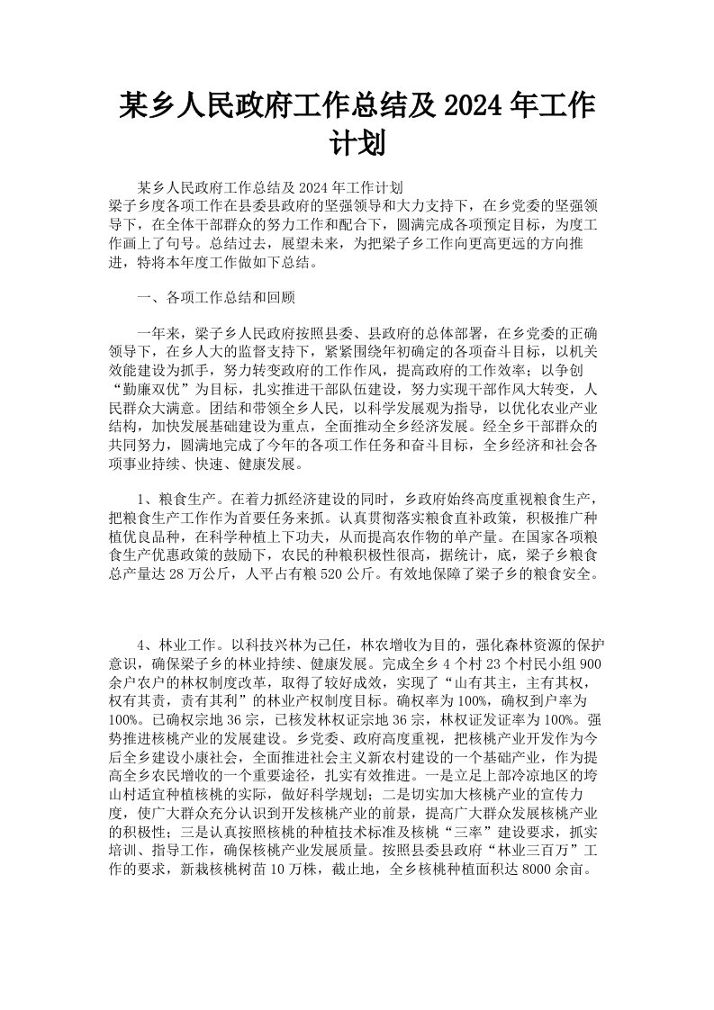 某乡人民政府工作总结及2024年工作计划