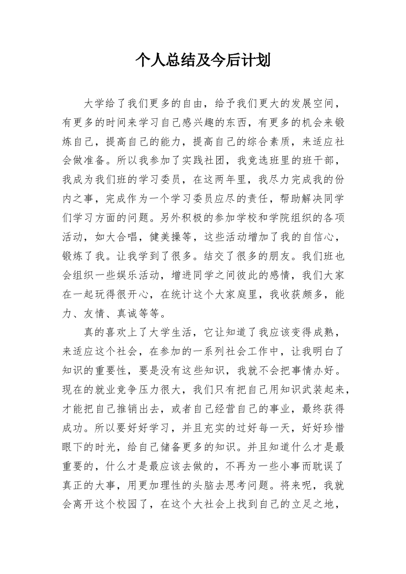 个人总结及今后计划