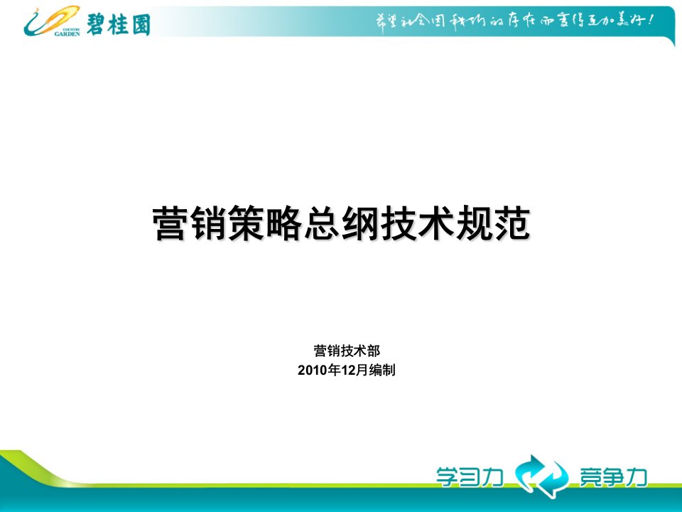 碧桂园营销策略总纲模板