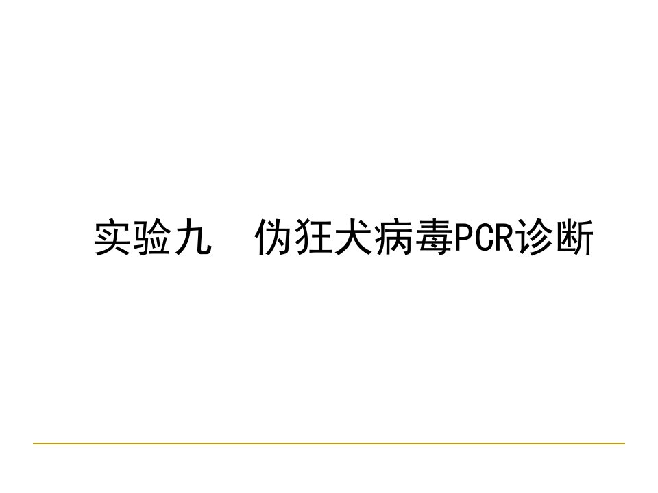 伪狂犬病毒PCR诊断