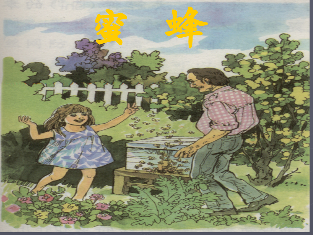 14《蜜蜂》课件1