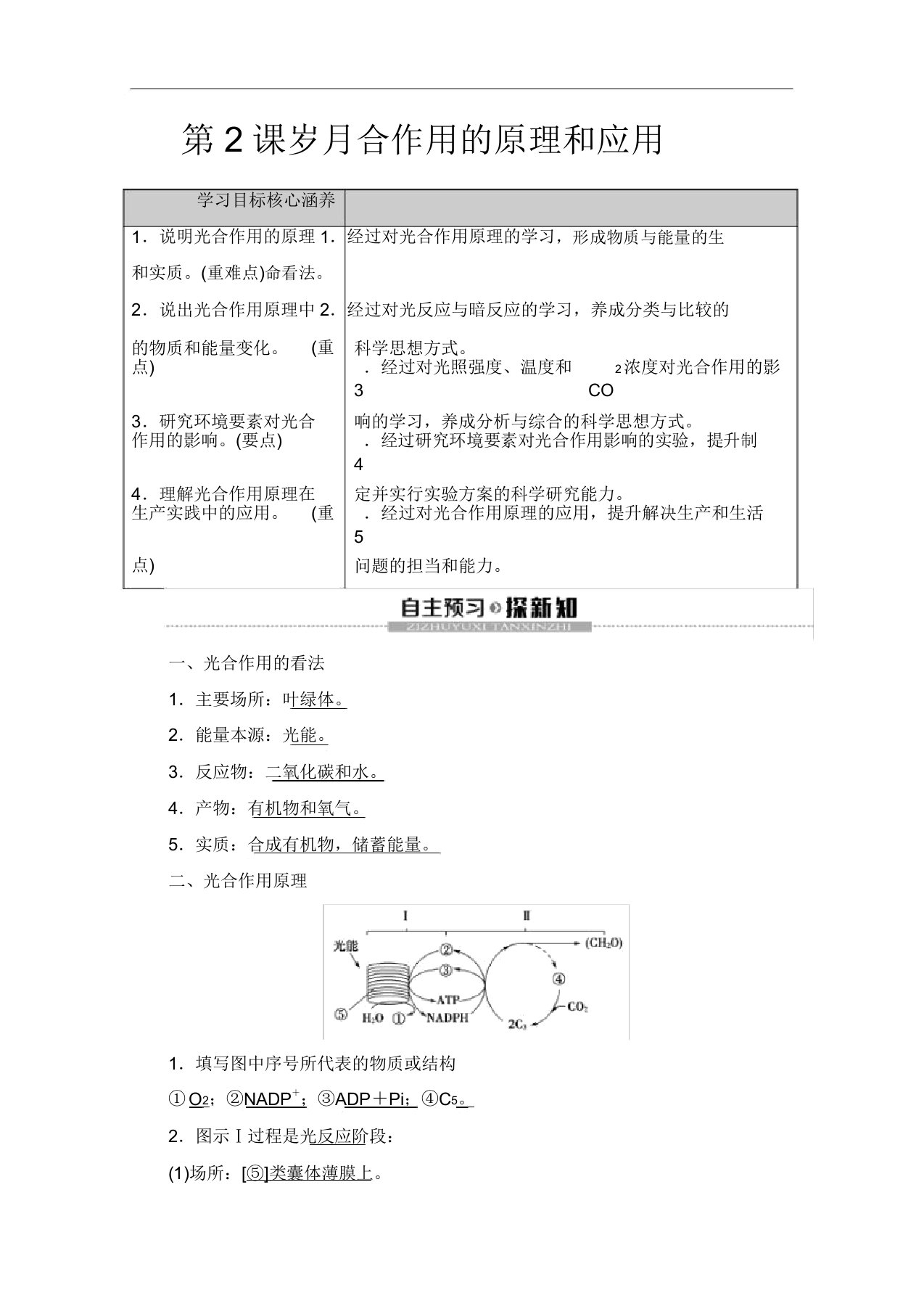 同步新教材人教生物一新突破讲义第5章第4节第2课时光合作用的原理与应用Word版含标准答案