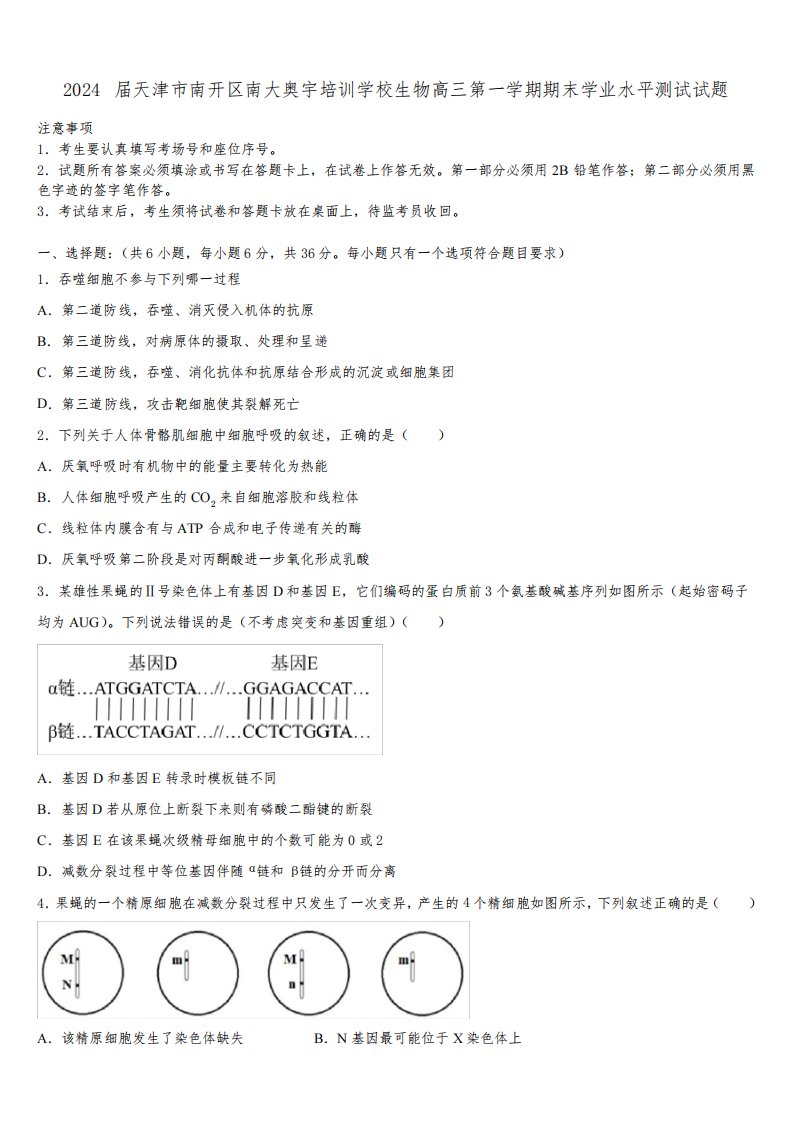2024届天津市南开区南大奥宇培训学校生物高三第一学期期末学业水平测试试题含解析