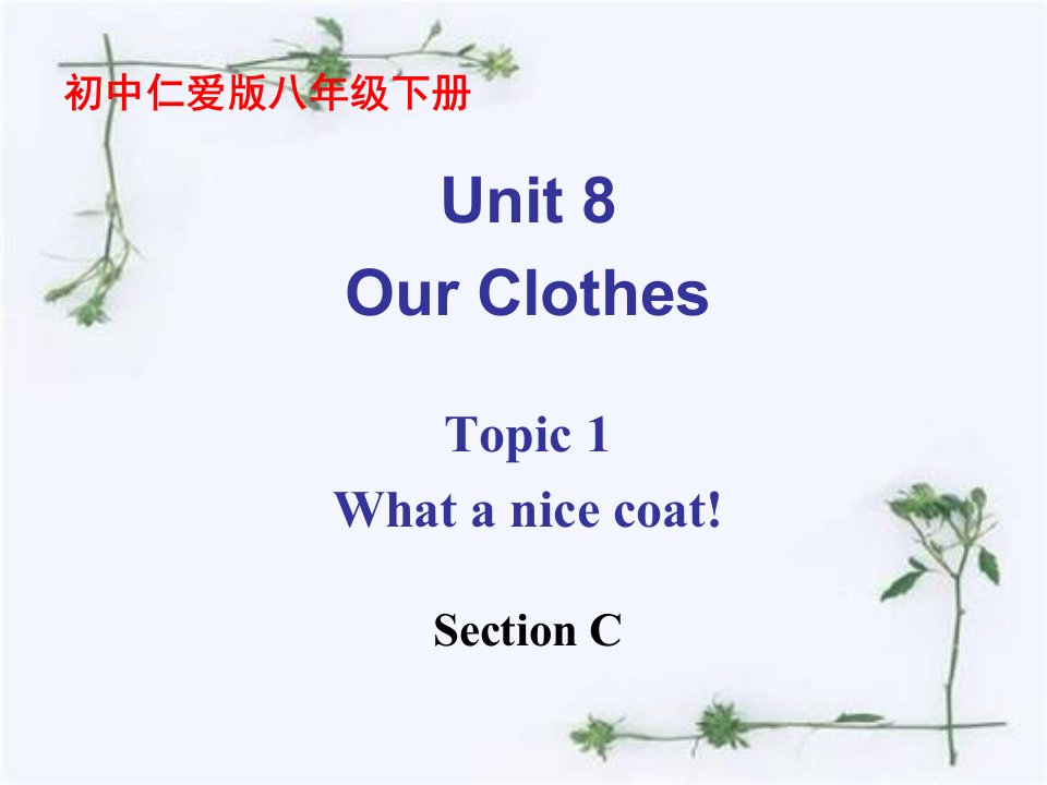 仁爱英语初中八年级下册Unit8-Topic-1-Section-Cppt课件