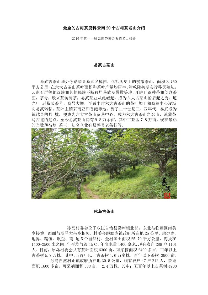 最全的古树茶资料云南20个古树茶名山介绍供参习