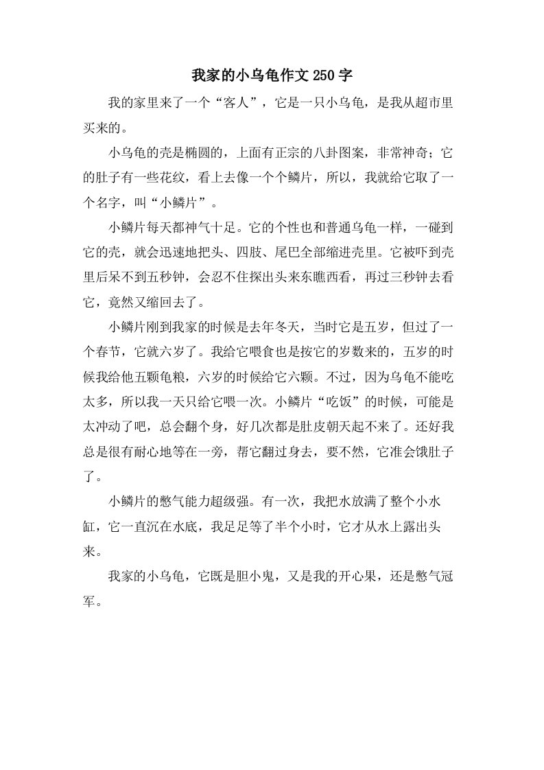 我家的小乌龟作文250字