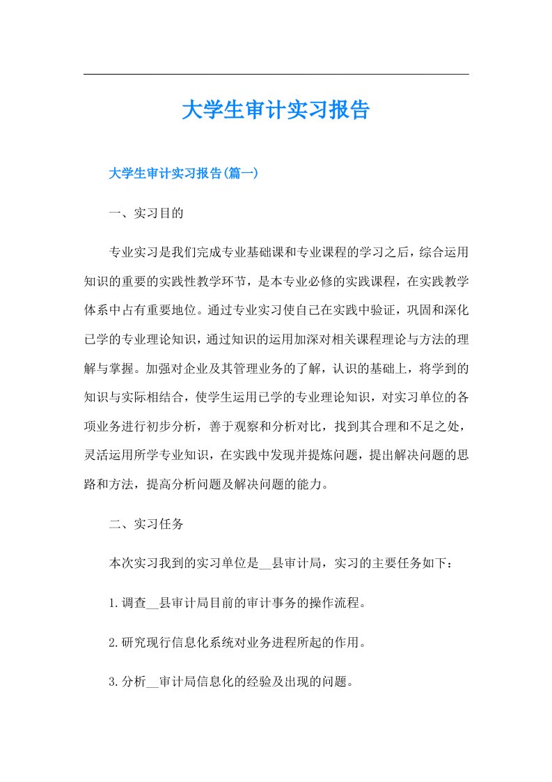 大学生审计实习报告