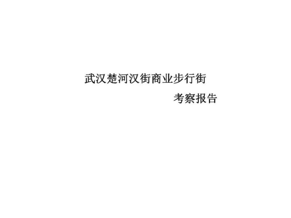 2013年武汉楚河汉街商业步行街考察报告