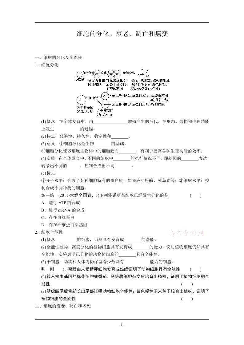 复习教案：细胞的分化、衰老、凋亡和癌变