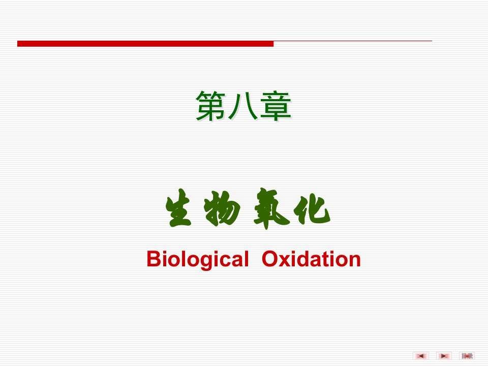 大学课件：生物化学之生物氧化1