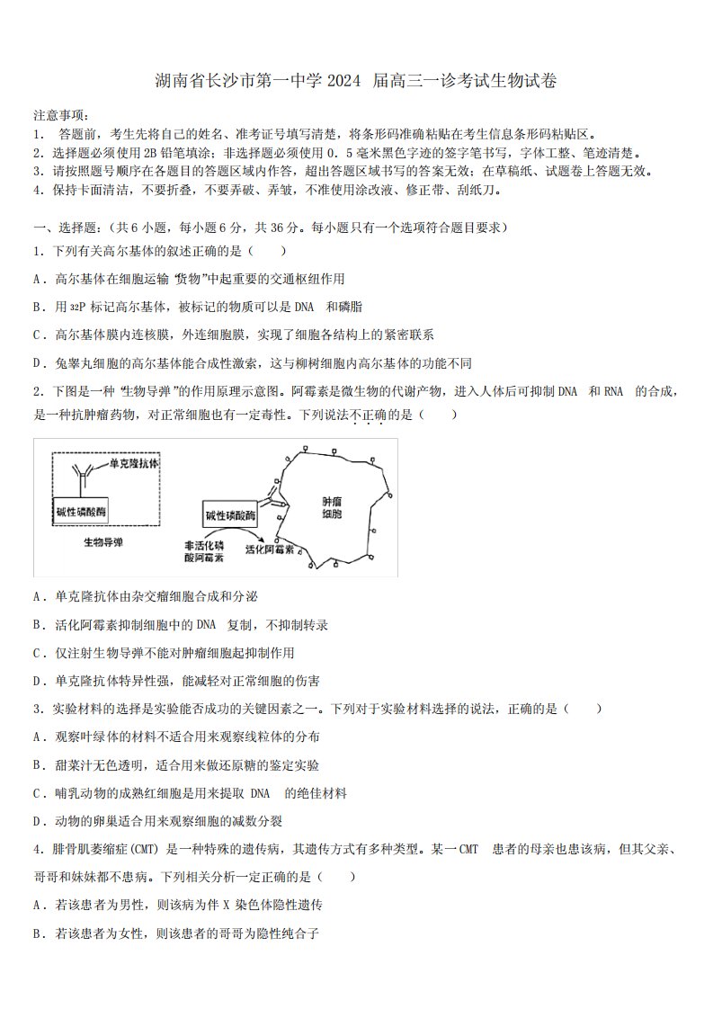 湖南省长沙市第一中学2024届高三一诊考试生物试卷含解析