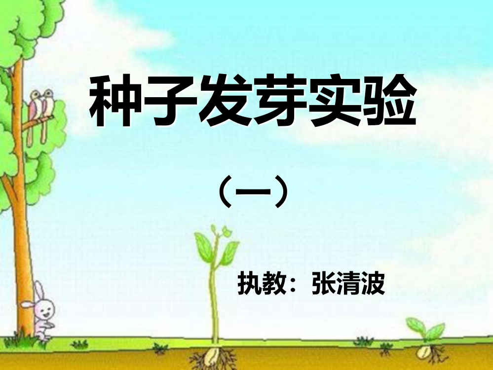 五年级科学—种子发芽试验(一)ppt课件