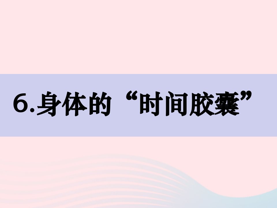 2023二年级科学下册我们自己2.6身体的时间胶囊精品课件教科版