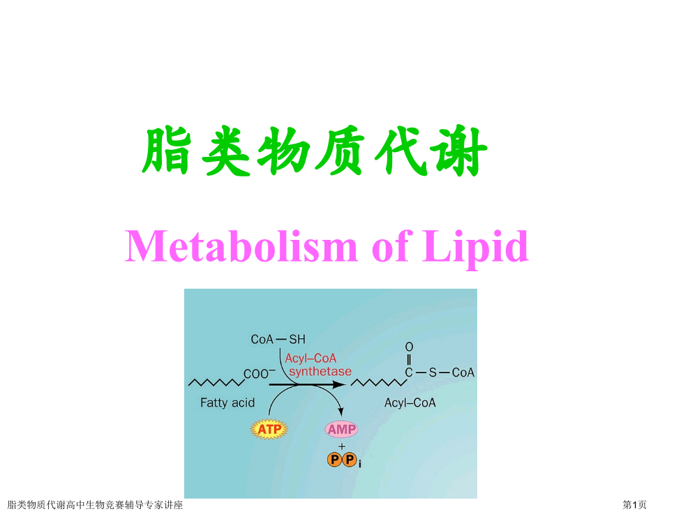 脂类物质代谢高中生物竞赛辅导专家讲座