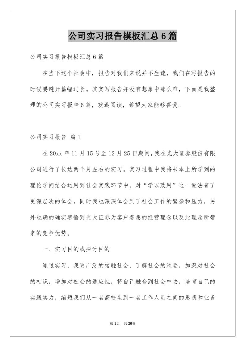 公司实习报告模板汇总6篇范本