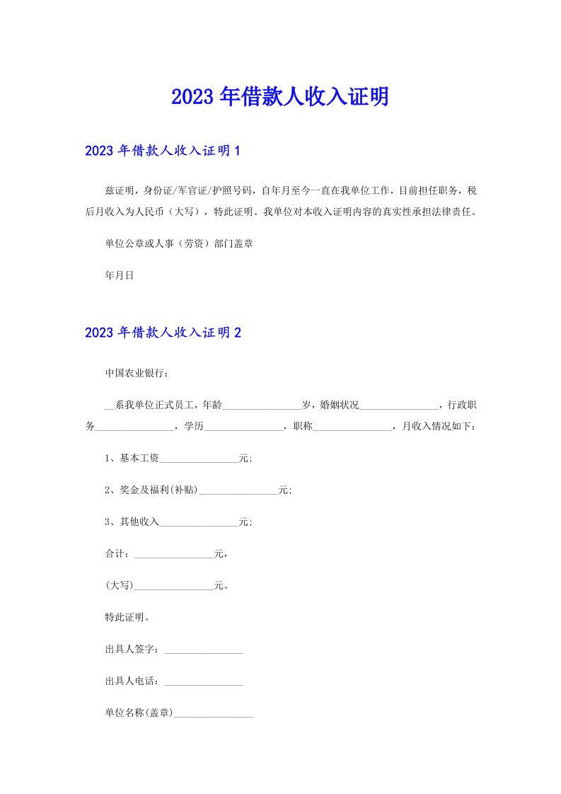 2023年借款人收入证明