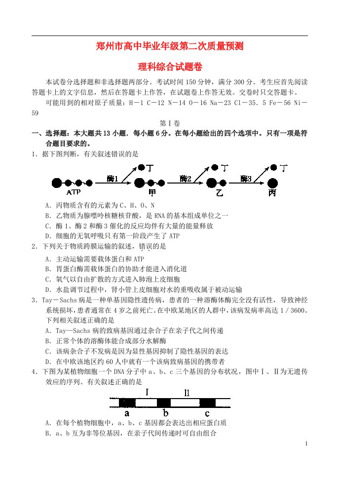 河南省郑州市高三理综第二次模拟考试试题