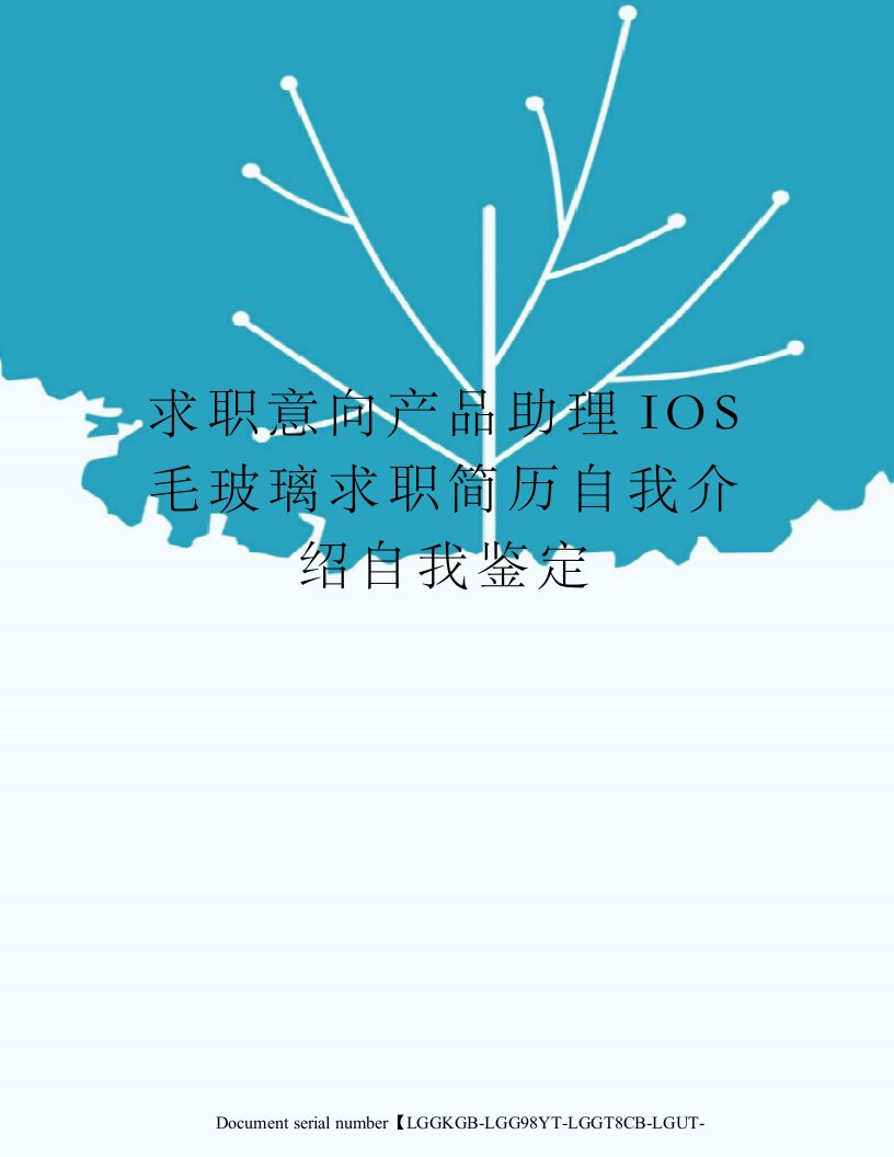 求职意向产品助理IOS毛玻璃求职简历自我介绍自我鉴定