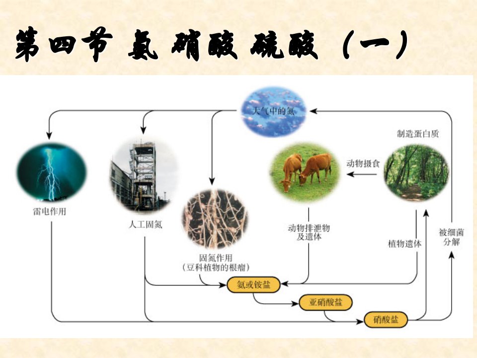 高中化学第四章氨气