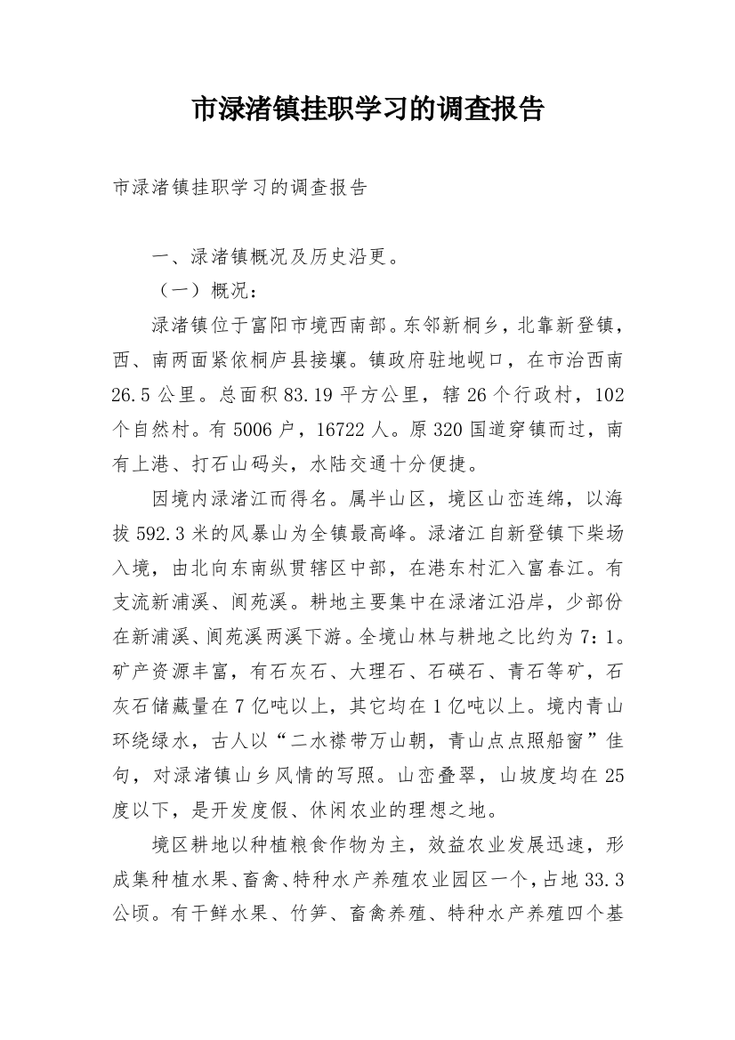 市渌渚镇挂职学习的调查报告