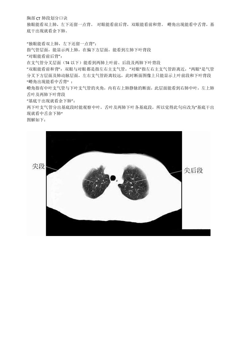 胸部CT肺段划分口诀